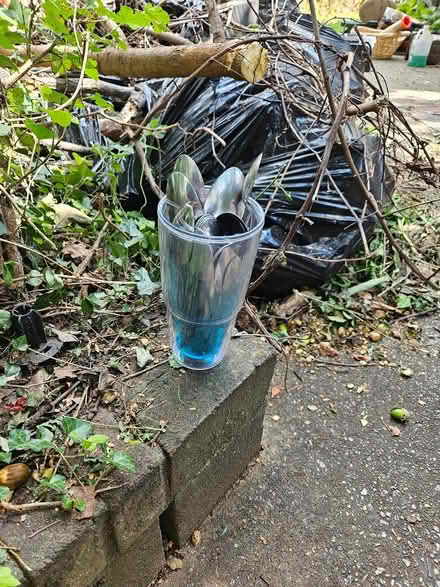 Photo of free Spoons (Takoma/Lamond Riggs) #1