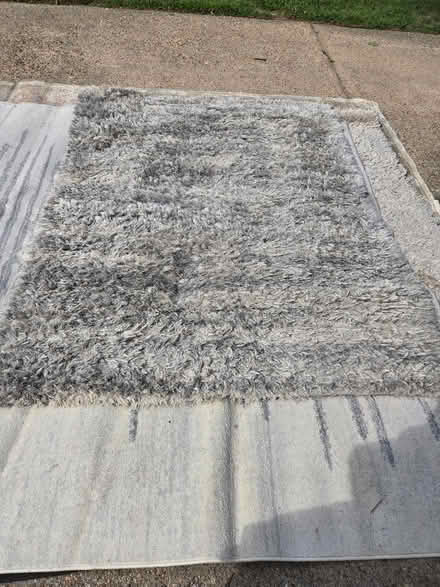 Photo of free Rugs (palisades) #1