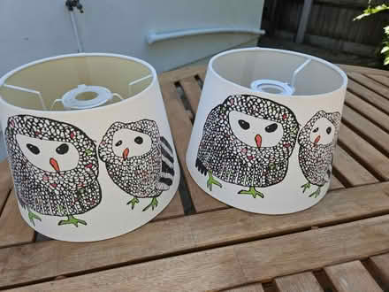 Photo of free Two matching owl lampshades (North Sheen TW9) #1