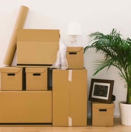 Photo of Moving Boxes (Bushwick, Brooklyn) #2