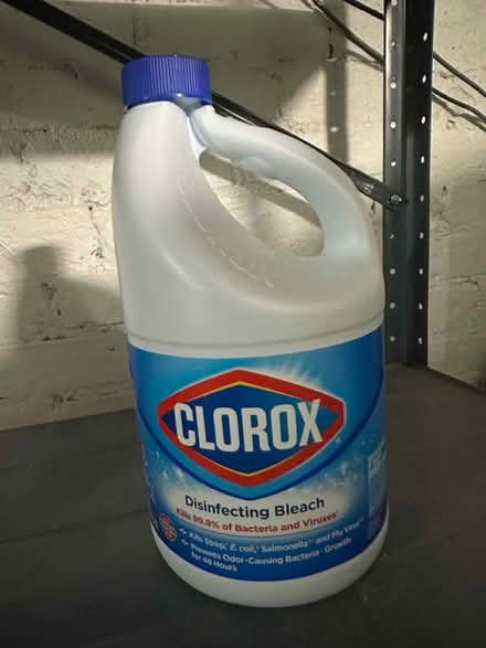 Photo of free Clorox Bleach (Davis Square, Somerville) #3