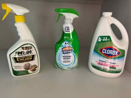 Photo of free Misc cleaning supplies (South loop) #1