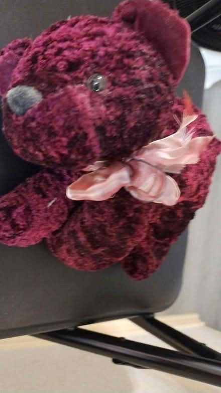 Photo of free Burgundy stuffed bear (Allen) #1