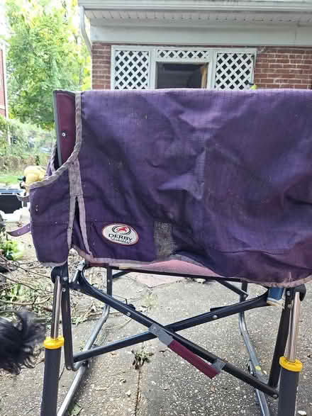 Photo of free Dog rain/wind coat (Takoma/Lamond Riggs) #1