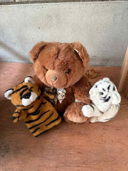 Photo of free Teddy’s (Ballsbridge) #3