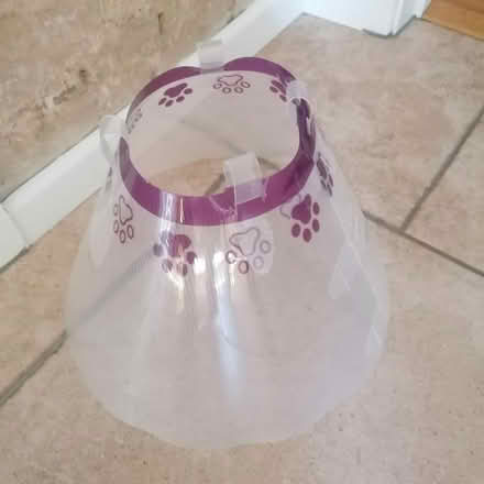 Photo of free Dog protection/ recovery collar (Burwell) #1