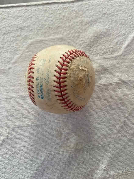 Photo of free Cricket ball (Cheshunt EN7) #1