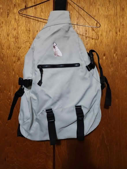 Photo of free Sports bag (Wellington Village) #1
