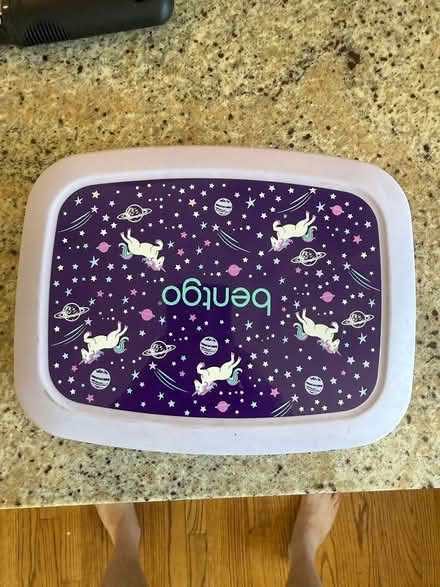 Photo of free Lunch boxes and bags (Scarsdale) #2