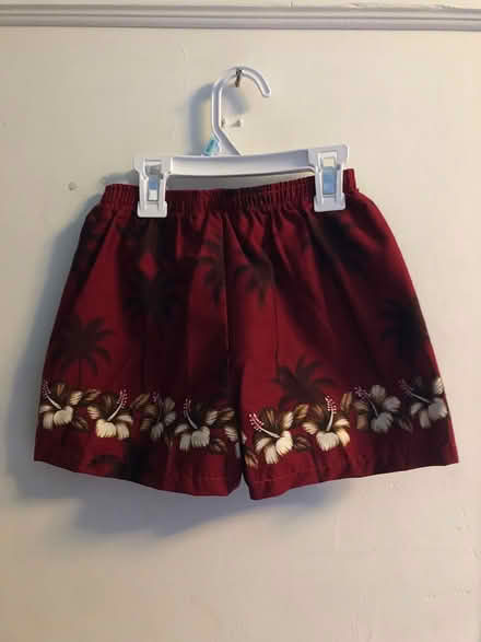 Photo of free Hawaiian toddler outfit (Near East/Union & Marquette) #3