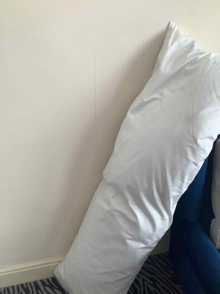 Photo of free Body Pillow = extra long (Rochford SS4) #1