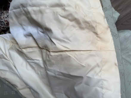 Photo of free A pair of light green curtains (Somersall, S40) #2