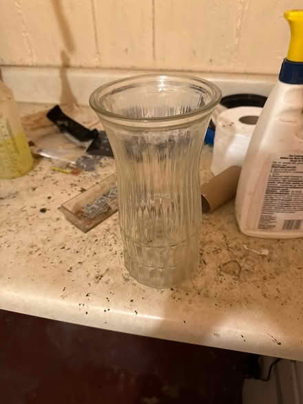 Photo of free Vase (Livingston, NJ) #1