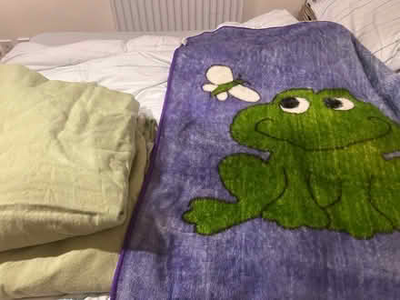 Photo of free 100%wool Blanket & Frog Blanket (RH13) #1