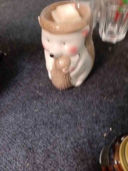 Photo of free Hedgehog burner (lemington NE15) #1