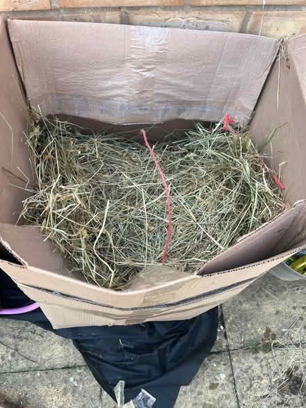 Photo of free Box and bag of dust free hay (RG2 Shinfield) #2