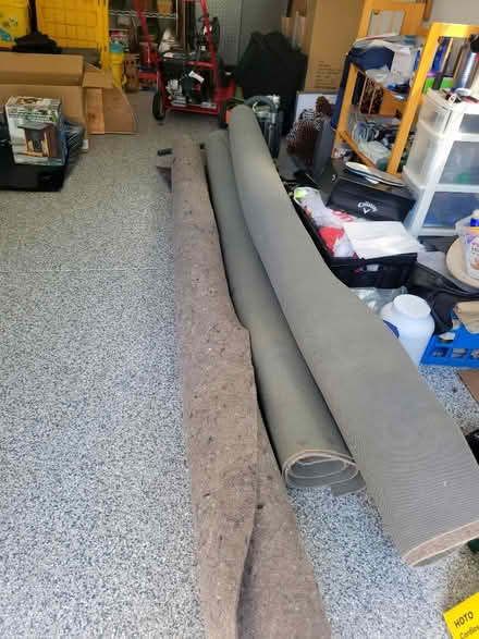 Photo of free Area Rug Pads (East Glenview) #1
