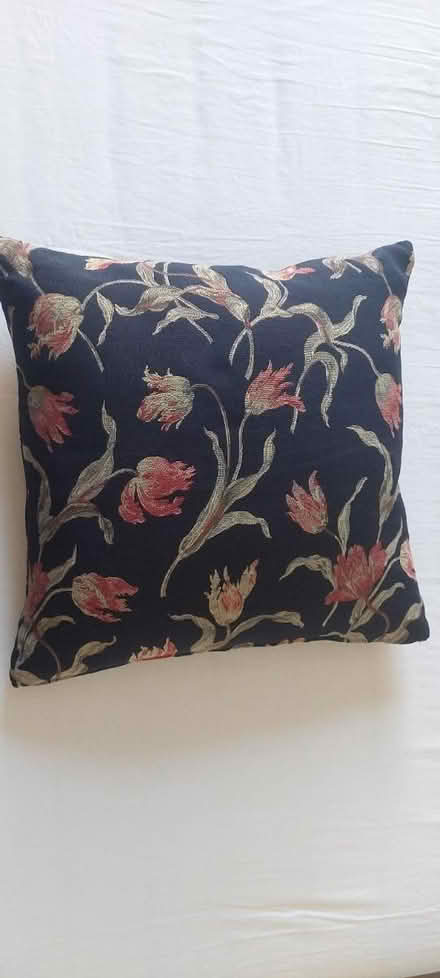 Photo of free Cushions and cushion covers (E7) #3