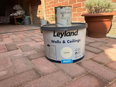 Photo of free paint as in photo's (Loughborough LE11) #1