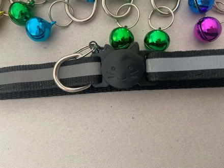 Photo of free Cat Collars with bells - not complete set (Haywards Heath RH16) #2