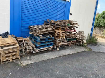 Photo of free Old pallets (SG8) #1