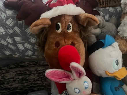 Photo of free Soft Plush Animal Toys (Ballyhackamore) #1
