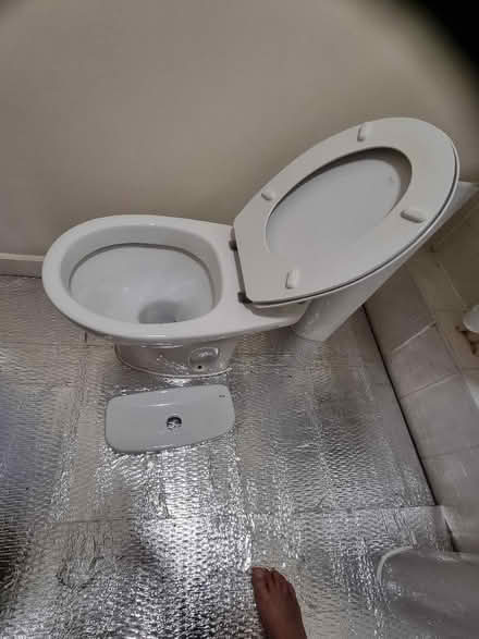 Photo of free Roca wc bowl +seat (Coleridge Ward CB1) #1