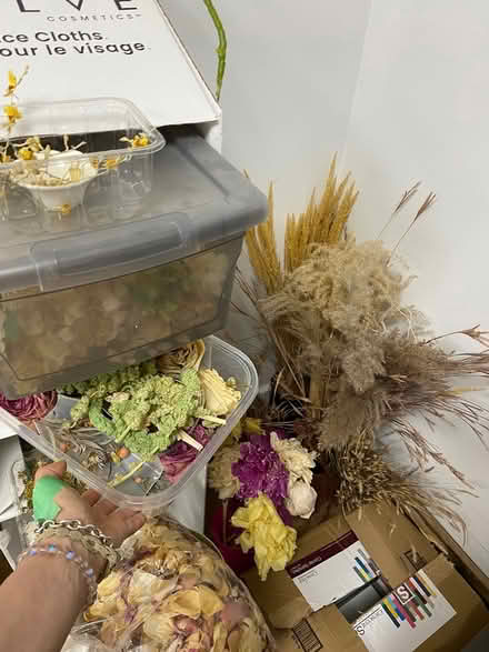 Photo of free Dried flowers (Leaside) #1