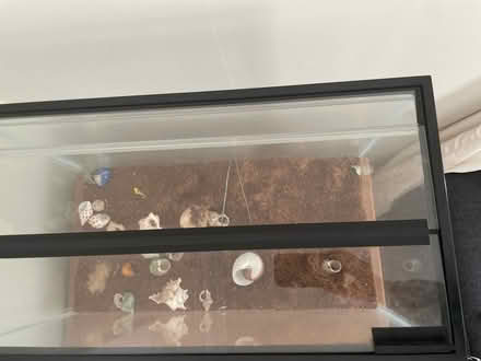 Photo of free Aquarium/Terrarium (Lincoln Park) #2