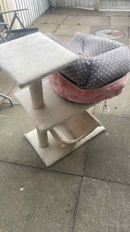 Photo of free Bed and cat scratching (CV11) #1