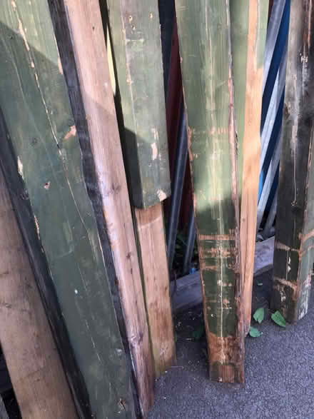Photo of free Off cuts of wood (SW19 South Wimbledon) #4