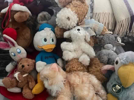 Photo of free Soft Plush Animal Toys (Ballyhackamore) #4