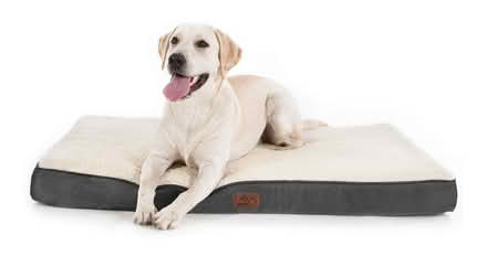 Photo of free Bedsure large dog bed (Glasgow Parkhead G31) #2