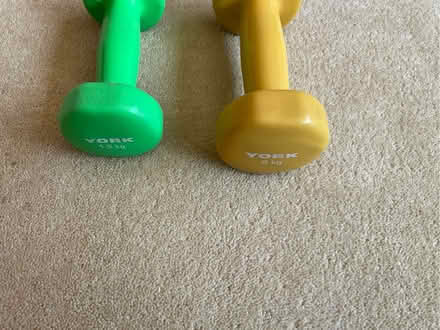 Photo of free Two dumbbells - different weights (East Carleton NR14) #2