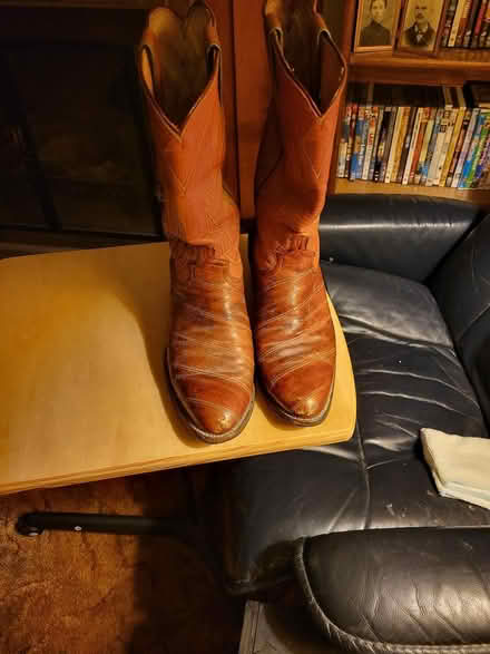 Photo of free Handmade Water Snake Skin Boots (Livonia) #1