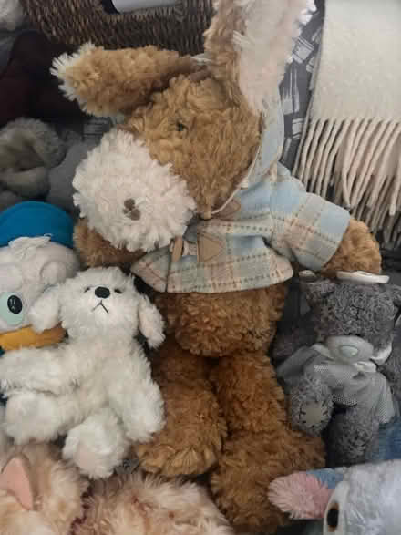 Photo of free Soft Plush Animal Toys (Ballyhackamore) #2