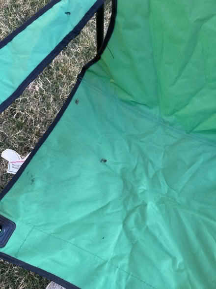 Photo of free Camp chair (Ballard) #2