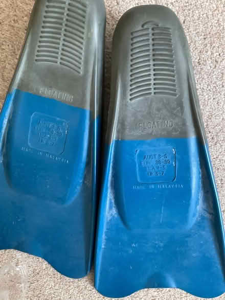 Photo of free Flippers (Old Malden KT4) #2