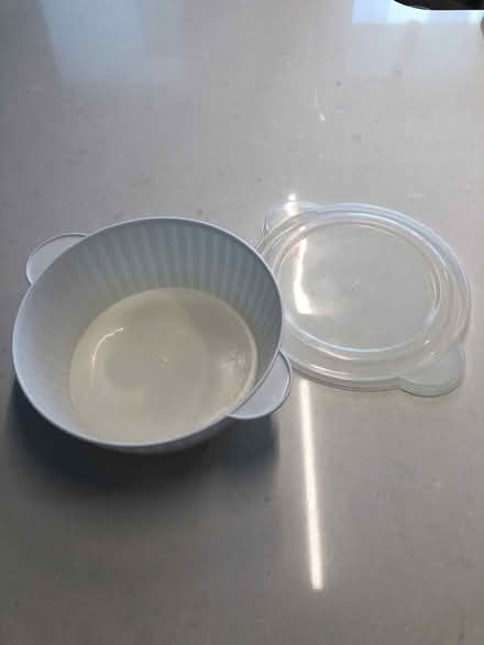 Photo of free Plastic container w/ Lid (South End) #1