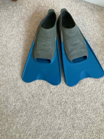 Photo of free Flippers (Old Malden KT4) #1