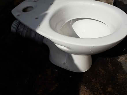 Photo of free Sink and Toilet Bowl (EH33, Tranent) #3
