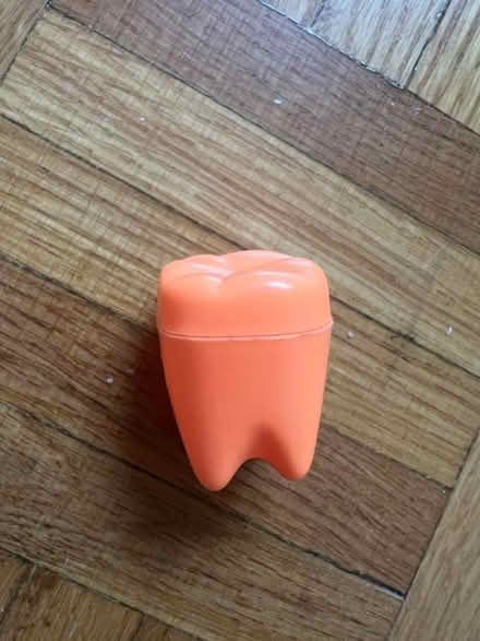 Photo of free Tooth holder (Etobicoke) #1