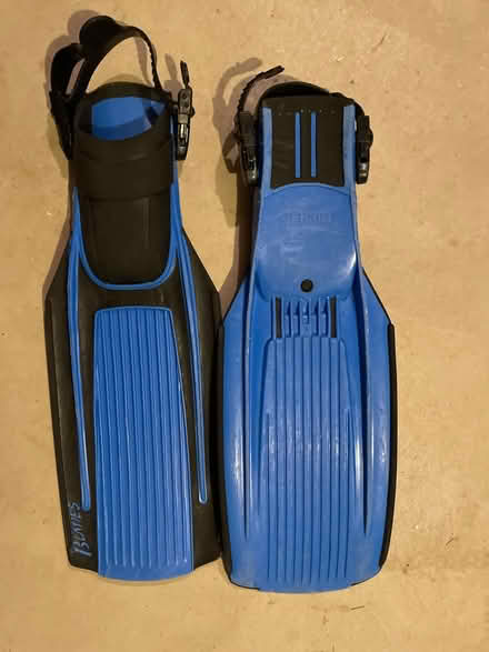 Photo of free Dive fin (Glastonbury Center) #1