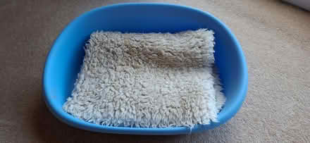 Photo of free Dog bed (Lower Broadheath WR2) #2