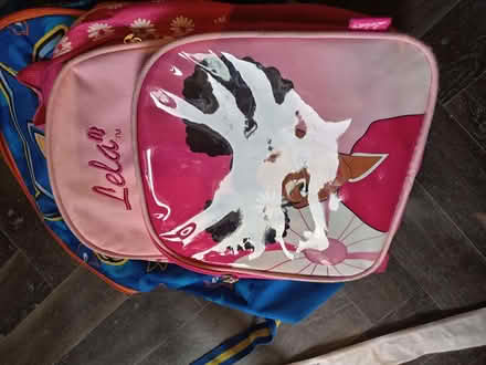 Photo of free Kids school bags (Upton Priory SK10) #4