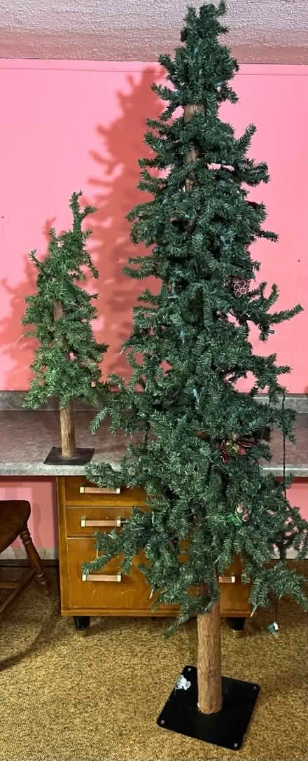Photo of free Christmas trees (Near south elgin) #1