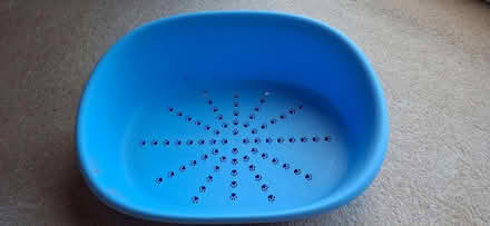 Photo of free Dog bed (Lower Broadheath WR2) #1