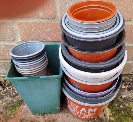 Photo of free Selection of plant pots (Lexden CO3) #1