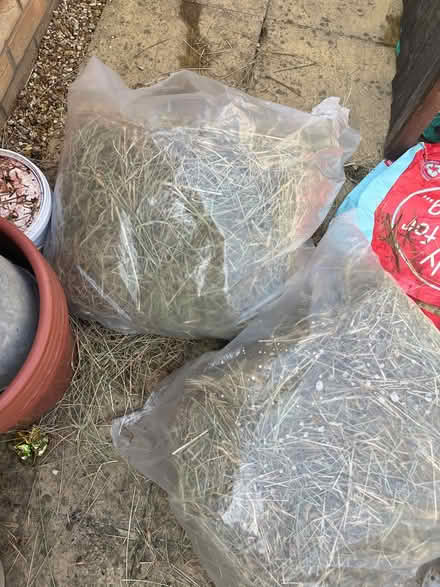 Photo of free Box and bag of dust free hay (RG2 Shinfield) #3