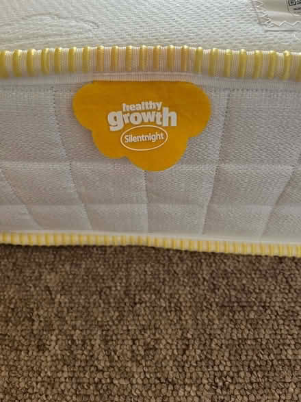 Photo of free Silentnight Kids Mattress (Broadwater Down TN2) #3